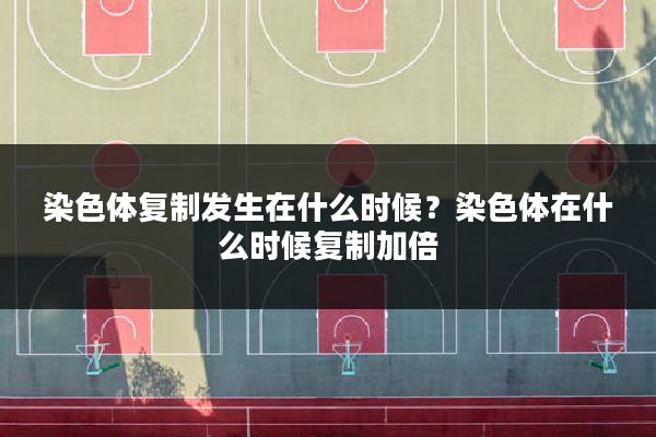 染色体复制发生在什么时候?染色体在什么时候复制加倍