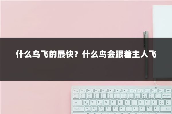 什么鸟飞的最快?什么鸟会跟着主人飞