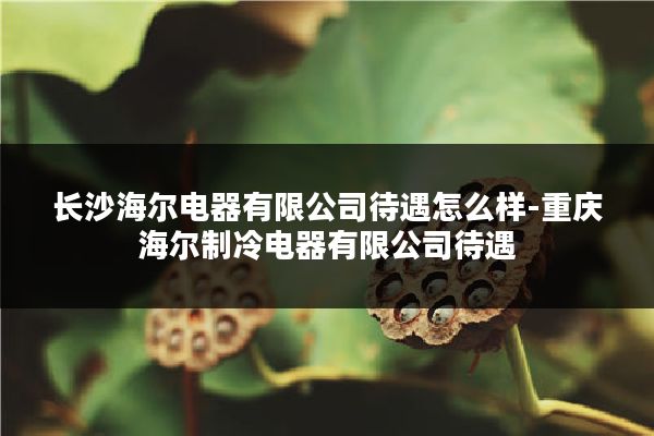 长沙海尔电器有限公司待遇怎么样-重庆海尔制冷电器有限公司待遇