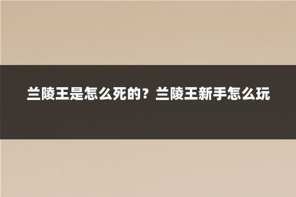 兰陵王是怎么死的?兰陵王新手怎么玩