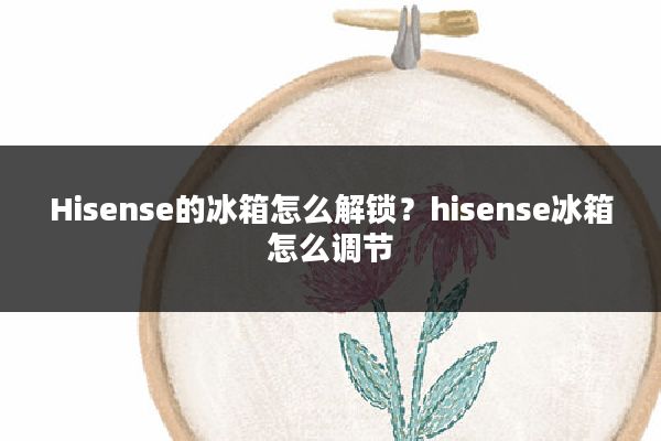 Hisense的冰箱怎么解锁?hisense冰箱怎么调节