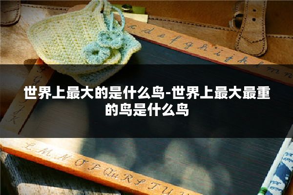 世界上最大的是什么鸟-世界上最大最重的鸟是什么鸟
