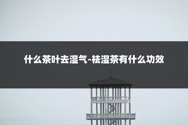 什么茶叶去湿气-祛湿茶有什么功效