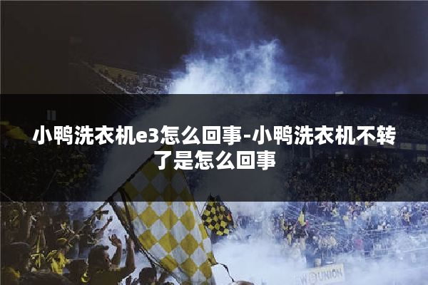 小鸭洗衣机e3怎么回事-小鸭洗衣机不转了是怎么回事