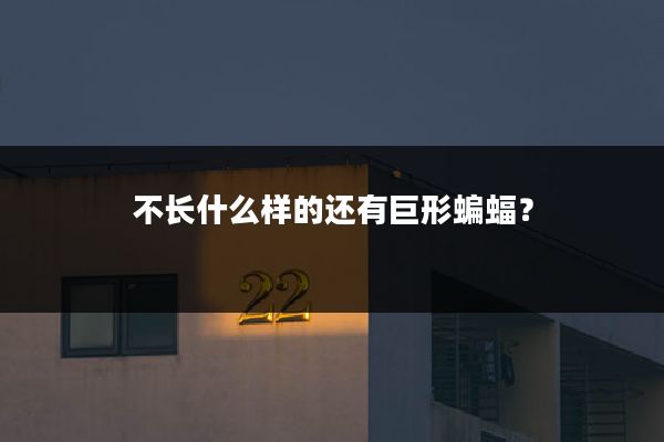 不长什么样的还有巨形蝙蝠?