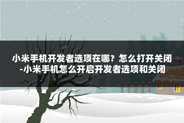 小米手机开发者选项在哪？怎么打开关闭-小米手机怎么开启开发者选项和关闭