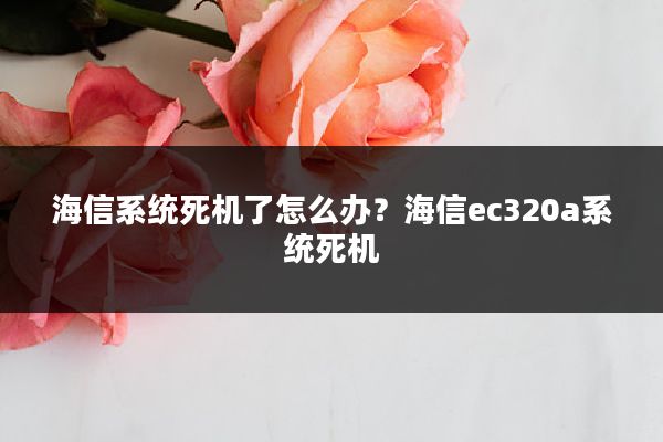 海信系统死机了怎么办?海信ec320a系统死机