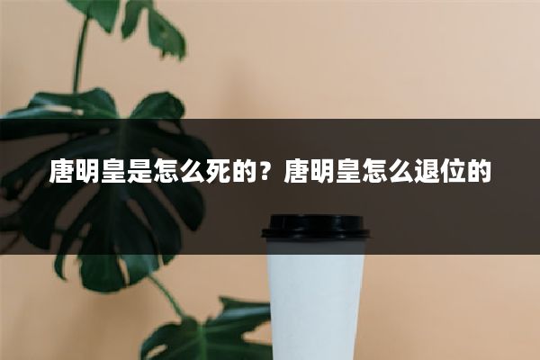 唐明皇是怎么死的？唐明皇怎么退位的