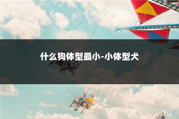 什么狗体型最小-小体型犬