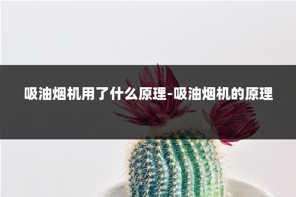 吸油烟机用了什么原理-吸油烟机的原理