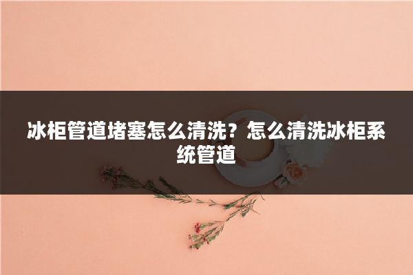 冰柜管道堵塞怎么清洗？怎么清洗冰柜系统管道