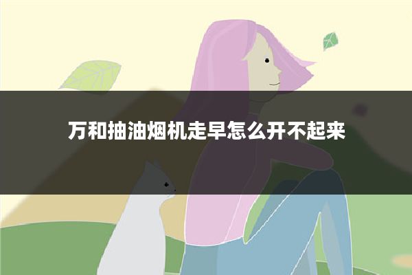 万和抽油烟机走早怎么开不起来