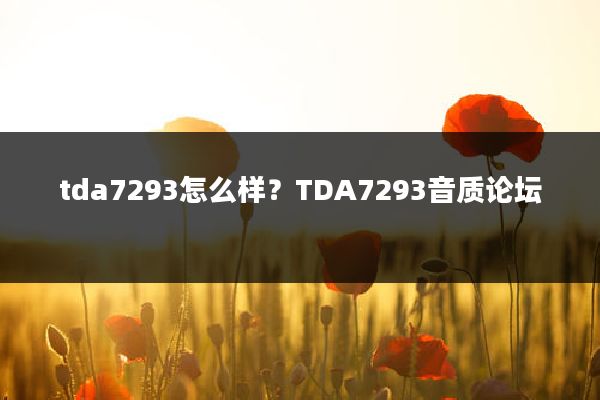 tda7293怎么样?TDA7293音质论坛