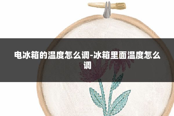 电冰箱的温度怎么调-冰箱里面温度怎么调