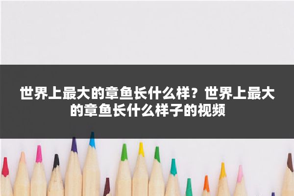 世界上最大的章鱼长什么样?世界上最大的章鱼长什么样子的视频