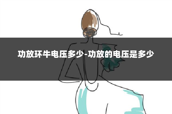 功放环牛电压多少-功放的电压是多少