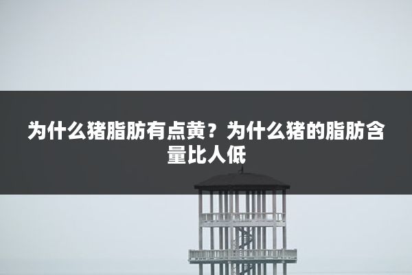 为什么猪脂肪有点黄?为什么猪的脂肪含量比人低