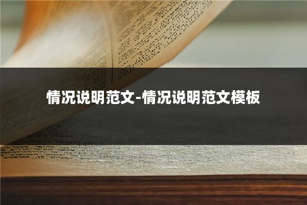 情况说明范文-情况说明范文模板