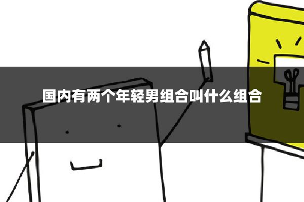 国内有两个年轻男组合叫什么组合