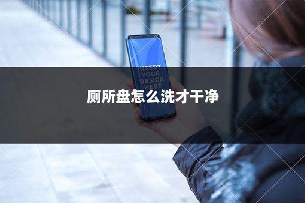 厕所盘怎么洗才干净