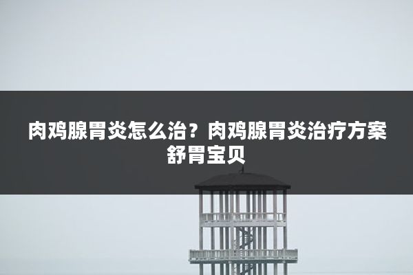 肉鸡腺胃炎怎么治?肉鸡腺胃炎治疗方案舒胃宝贝