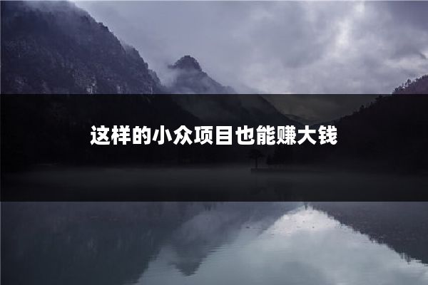 这样的小众项目也能赚大钱