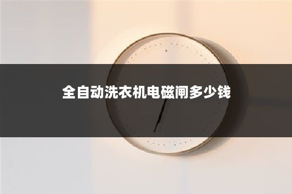 全自动洗衣机电磁闸多少钱
