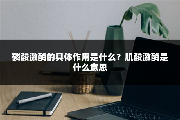 磷酸激酶的具体作用是什么?肌酸激酶是什么意思