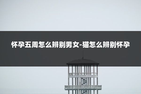 怀孕五周怎么辨别男女-猫怎么辨别怀孕