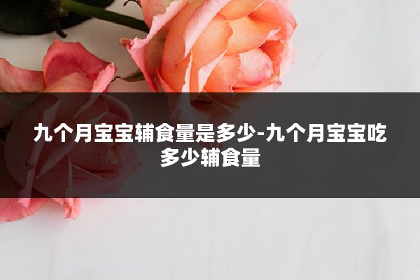 九个月宝宝辅食量是多少-九个月宝宝吃多少辅食量
