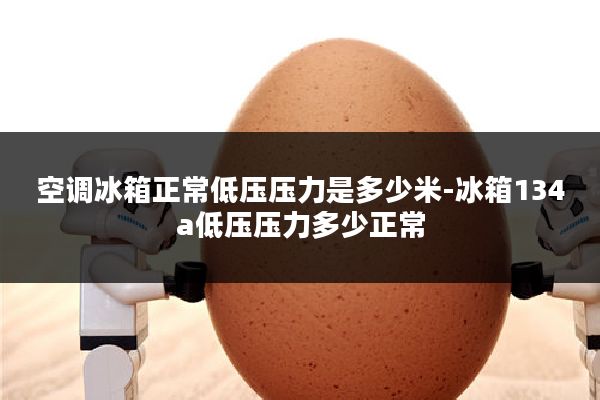空调冰箱正常低压压力是多少米-冰箱134a低压压力多少正常