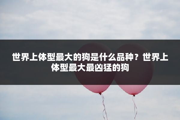 世界上体型最大的狗是什么品种?世界上体型最大最凶猛的狗