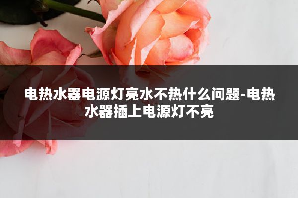 电热水器电源灯亮水不热什么问题-电热水器插上电源灯不亮
