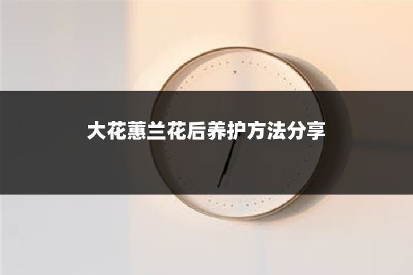 大花蕙兰花后养护方法分享