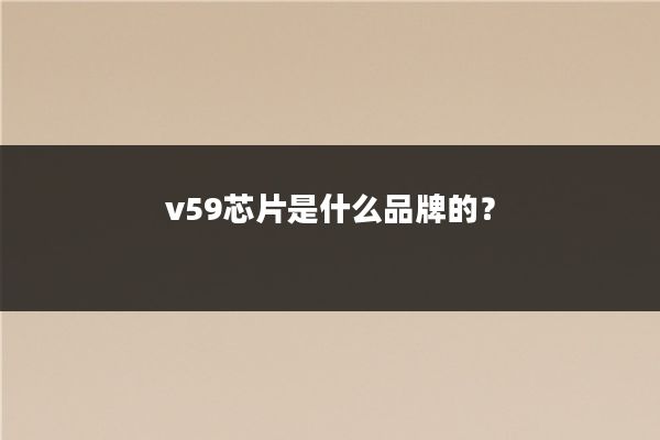 v59芯片是什么品牌的？
