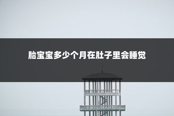 胎宝宝多少个月在肚子里会睡觉