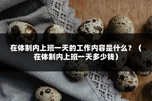 在体制内上班一天的工作内容是什么？（在体制内上班一天多少钱）