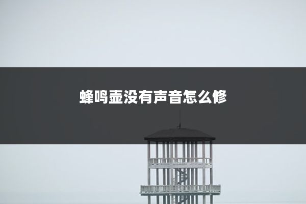 蜂鸣壶没有声音怎么修