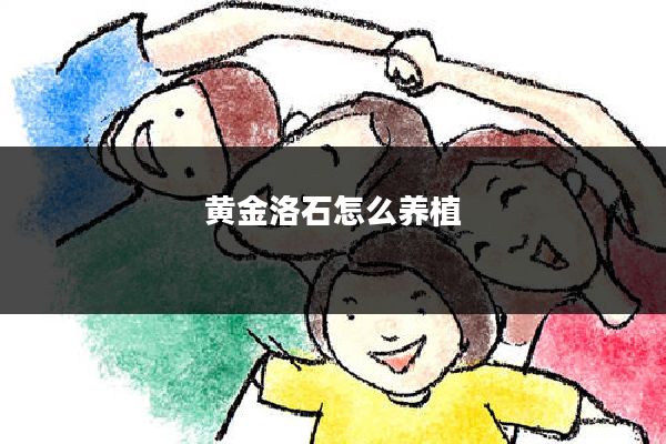 黄金洛石怎么养植
