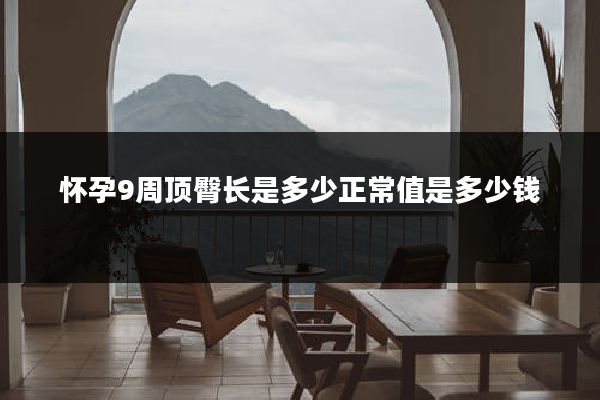 怀孕9周顶臀长是多少正常值是多少钱