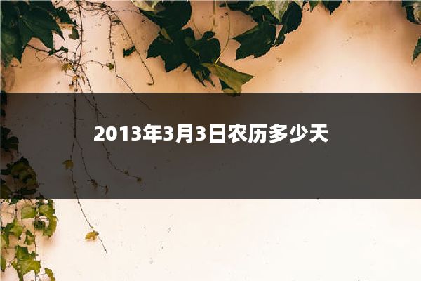 2013年3月3日农历多少天