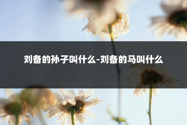 刘备的孙子叫什么-刘备的马叫什么