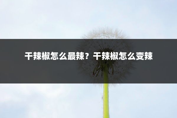 干辣椒怎么最辣?干辣椒怎么变辣