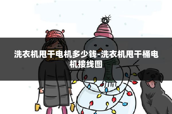 洗衣机甩干电机多少钱-洗衣机甩干桶电机接线图