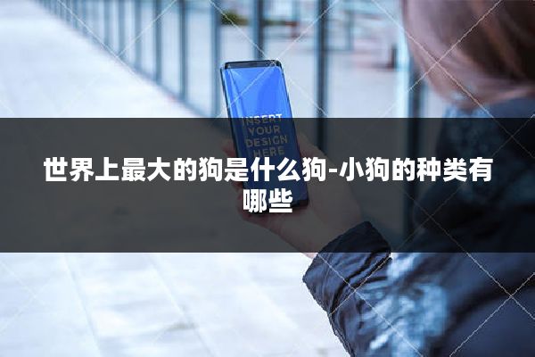 世界上最大的狗是什么狗-小狗的种类有哪些