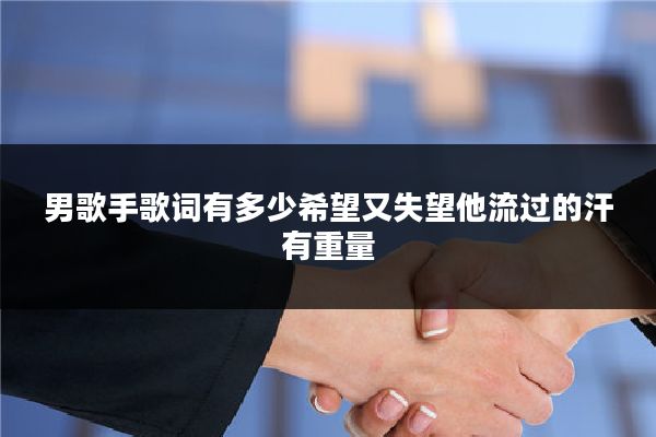 男歌手歌词有多少希望又失望他流过的汗有重量