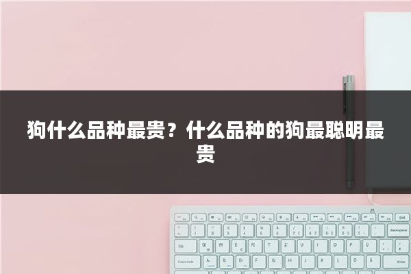 狗什么品种最贵？什么品种的狗最聪明最贵
