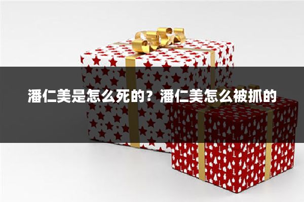 潘仁美是怎么死的?潘仁美怎么被抓的