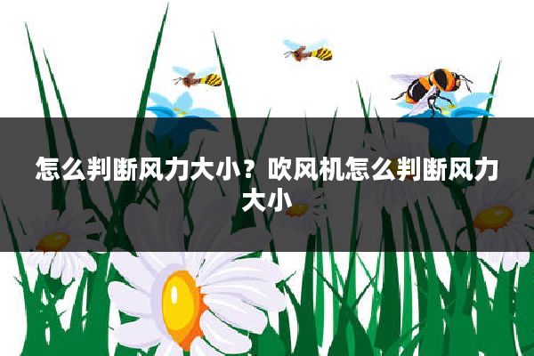 怎么判断风力大小？吹风机怎么判断风力大小