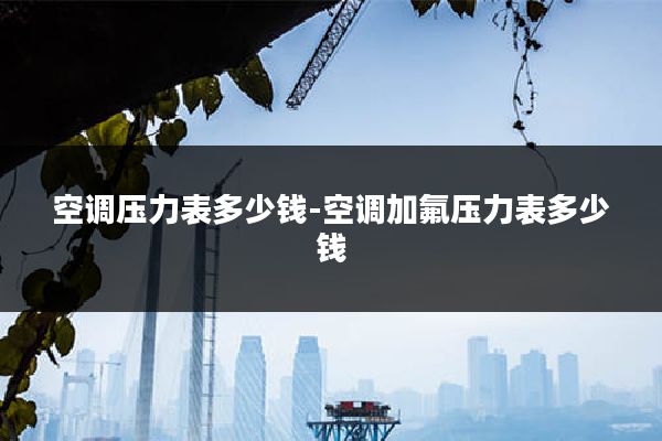 空调压力表多少钱-空调加氟压力表多少钱
